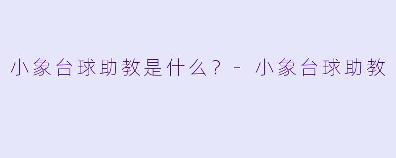 小象台球助教是什么？
