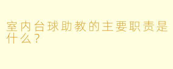 室内台球助教的主要职责是什么？