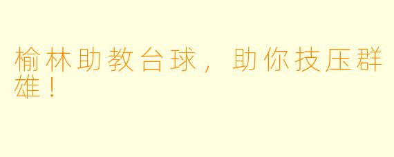 榆林助教台球，助你技压群雄！