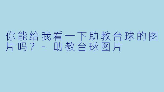 你能给我看一下助教台球的图片吗？