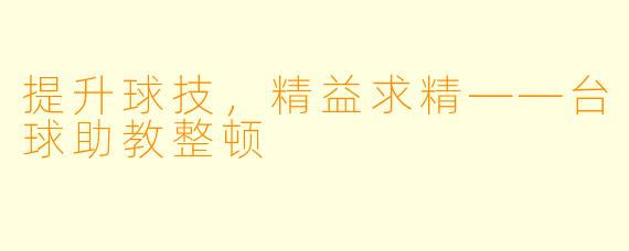 提升球技，精益求精——台球助教整顿