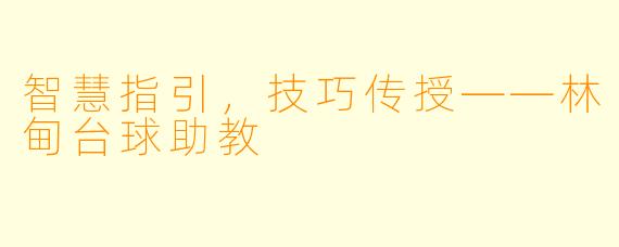 智慧指引，技巧传授——林甸台球助教