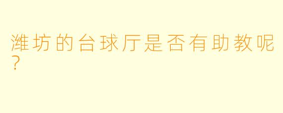 潍坊的台球厅是否有助教呢？
