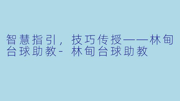 智慧指引，技巧传授——林甸台球助教-林甸台球助教