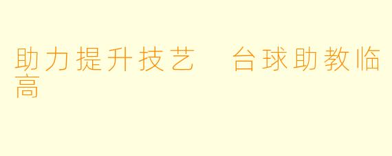 助力提升技艺 台球助教临高