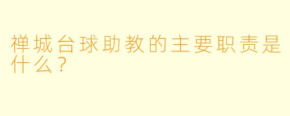 禅城台球助教的主要职责是什么？