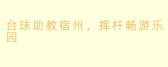 台球助教宿州，挥杆畅游乐园