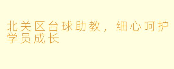 北关区台球助教，细心呵护学员成长