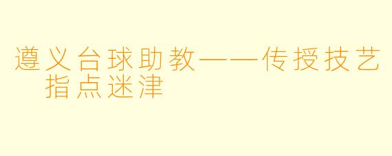 遵义台球助教——传授技艺 指点迷津