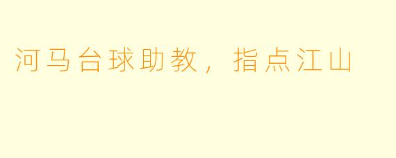 河马台球助教，指点江山