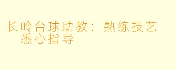 长岭台球助教：熟练技艺  悉心指导