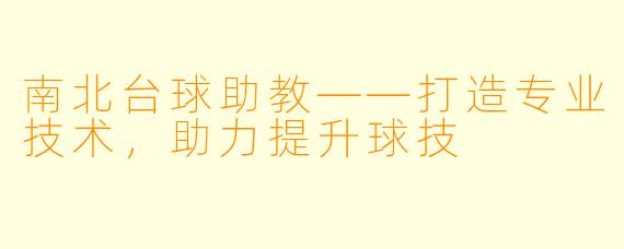 南北台球助教——打造专业技术，助力提升球技
