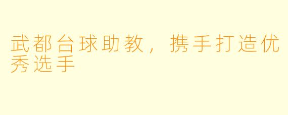 武都台球助教，携手打造优秀选手