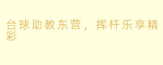 台球助教东营，挥杆乐享精彩