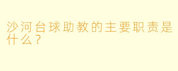 沙河台球助教的主要职责是什么？