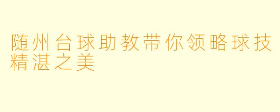 随州台球助教带你领略球技精湛之美