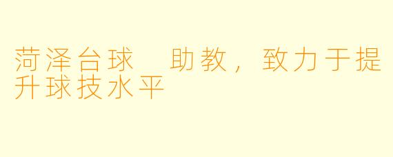 菏泽台球 助教，致力于提升球技水平