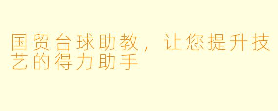 国贸台球助教,让您提升技艺的得力助手