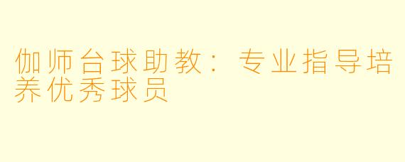 伽师台球助教：专业指导培养优秀球员