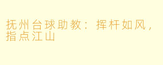 抚州台球助教：挥杆如风，指点江山