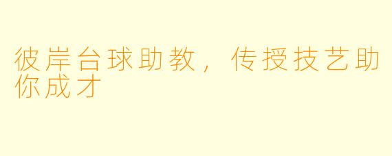 彼岸台球助教,传授技艺助你成才