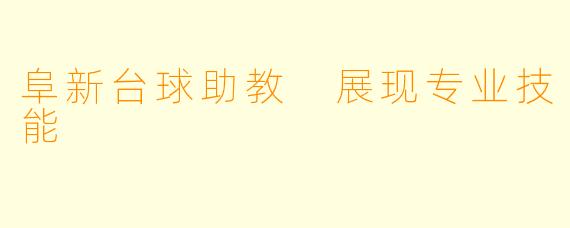 阜新台球助教 展现专业技能