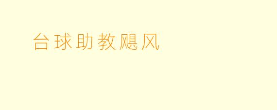  台球助教飓风