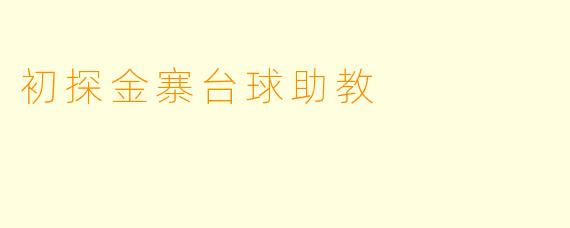 初探金寨台球助教