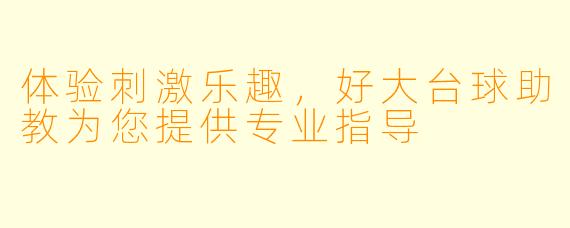 体验刺激乐趣，好大台球助教为您提供专业指导