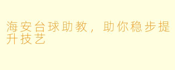 海安台球助教，助你稳步提升技艺