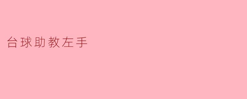 台球助教左手