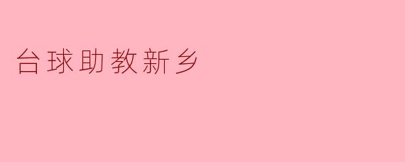 台球助教新乡
