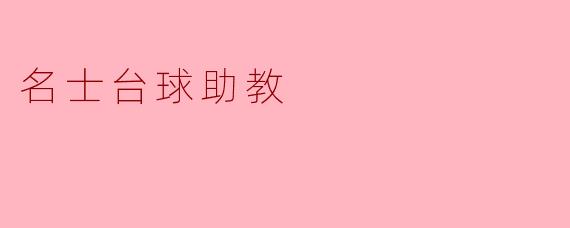什么是名士台球助教？