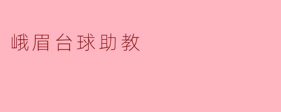峨眉台球助教