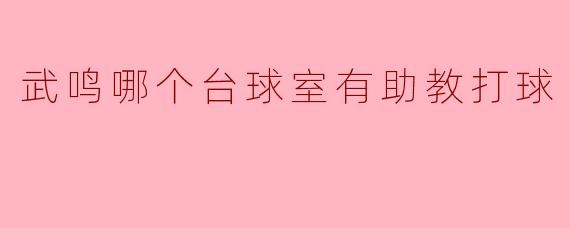 武鸣哪个台球室有助教打球