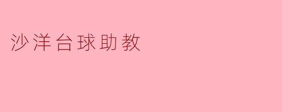 沙洋台球助教——让您的台球技术更上一层楼