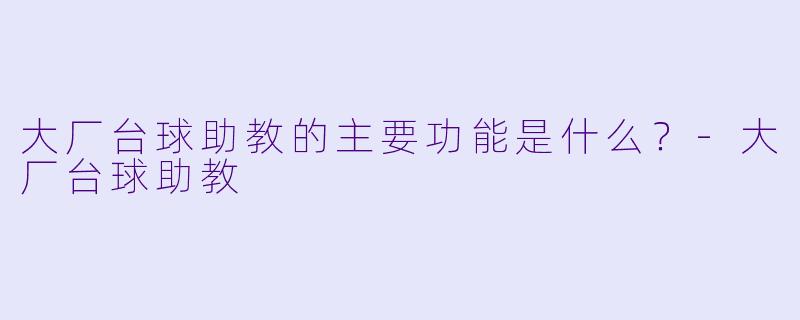 大厂台球助教的主要功能是什么？