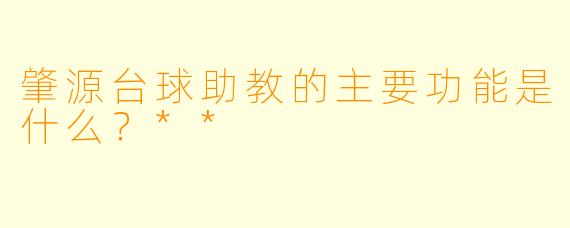 肇源台球助教的主要功能是什么？**