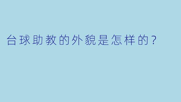 台球助教的外貌是怎样的？