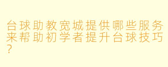 台球助教宽城提供哪些服务来帮助初学者提升台球技巧？
