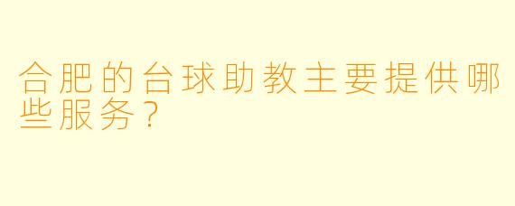 合肥的台球助教主要提供哪些服务？