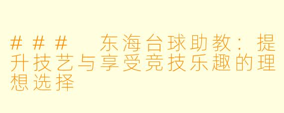 ### 东海台球助教：提升技艺与享受竞技乐趣的理想选择