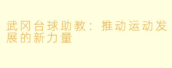 武冈台球助教：推动运动发展的新力量