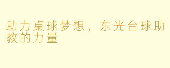 助力桌球梦想，东光台球助教的力量