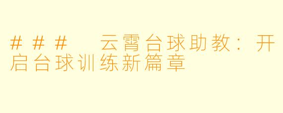### 云霄台球助教：开启台球训练新篇章