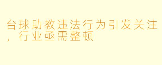 台球助教违法行为引发关注,行业亟需整顿