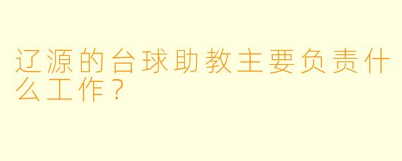 辽源的台球助教主要负责什么工作？