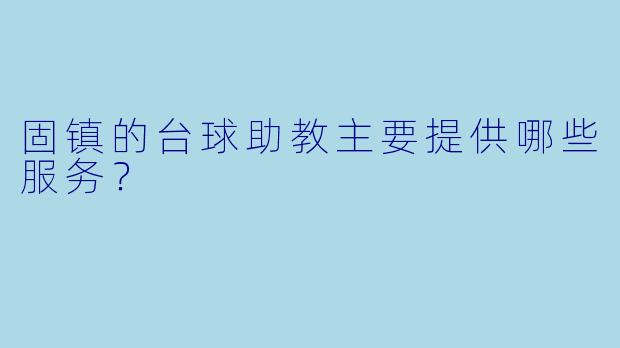 固镇的台球助教主要提供哪些服务？