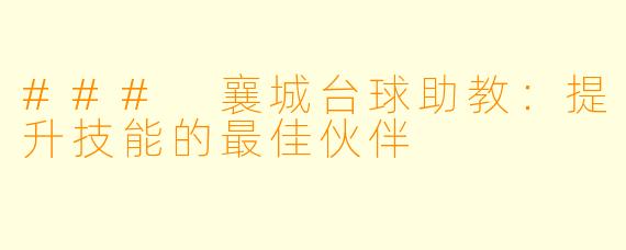 ### 襄城台球助教：提升技能的最佳伙伴