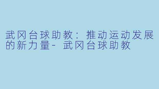 武冈台球助教：推动运动发展的新力量-武冈台球助教